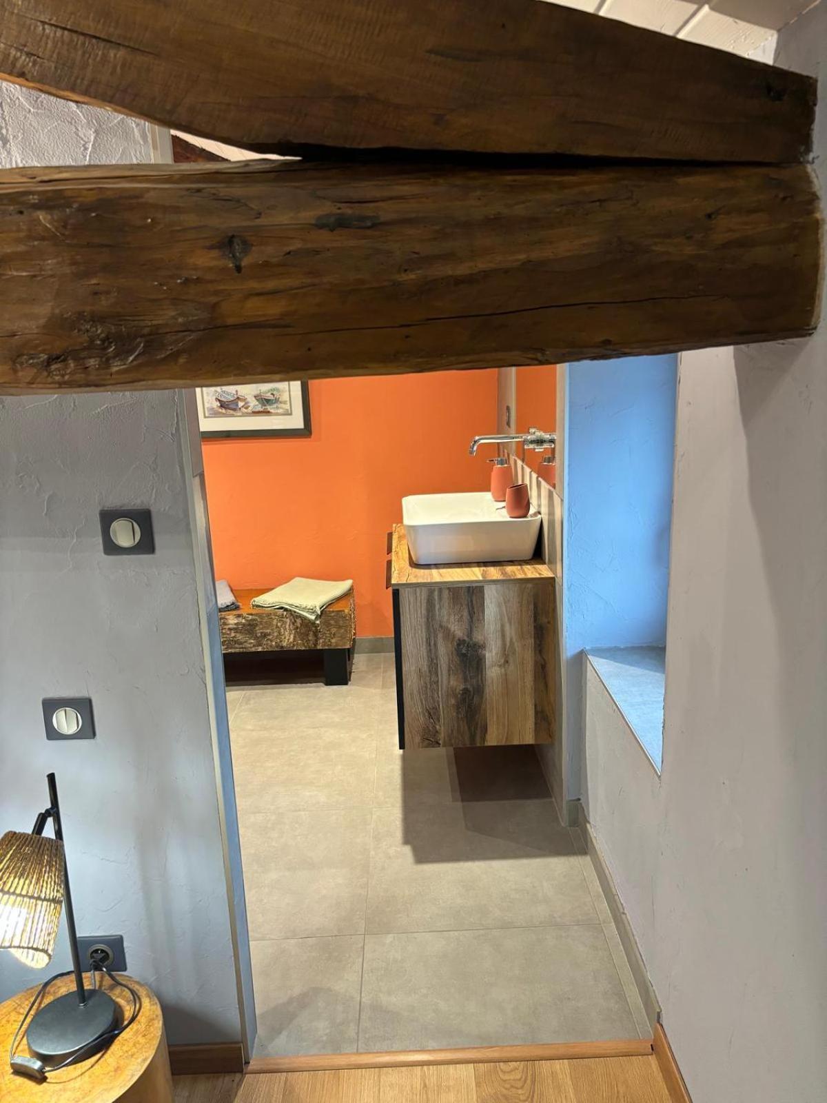 Apartamento Le Marais Des Littes Chonas-lʼAmballan Exterior foto